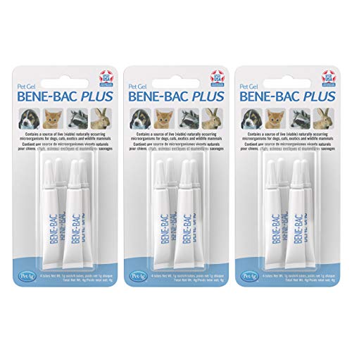 PetAg Bene-Bac Plus Pet Gel - FOS & Probiotics Gel Supplement with Naturally Occurring Microorganisms - 4 Count (15 g Syringes) - 3 Pack