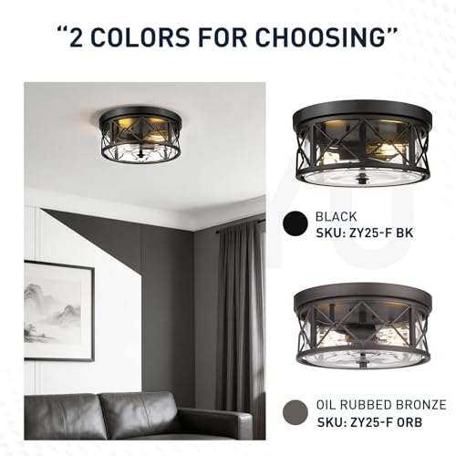 Image of zeyu 2-Light Flush Mount Ceiling Light Fixture, Clear Glass, ZY25-F BK