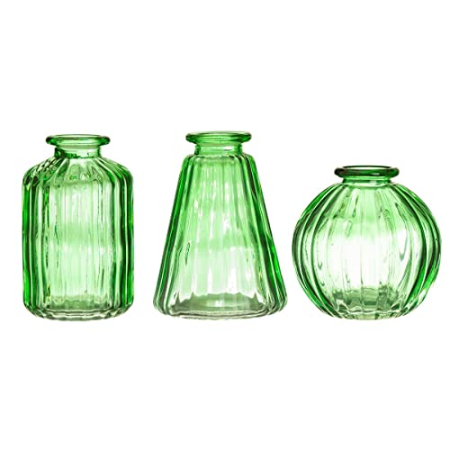 Sass & Belle Jarrones de vidrio verde - Juego de 3