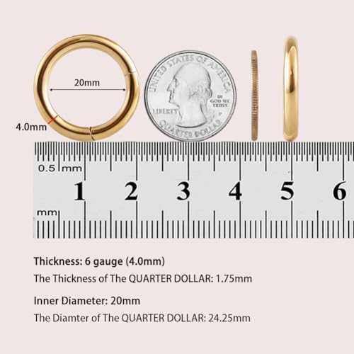 Image of FANSING Men Women 316L Surgical Steel Hinged Nose Rings Hoop for Nostril Septum Cartilage Helix Daith Tragus Rook Conch Lip Ear Lobe Piercings