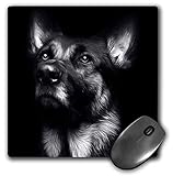 3dRose Mouse Pad Black and White Photo of A Regal German Shepherd Painted in Photoshop. - 8 by 8-Inches (mp_295257_1)
