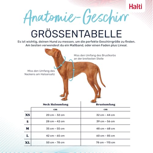 HALTI Anatomy Hundegeschirr mit Griff – Bewegungsfreiheit für deinen Hund. 3 Verbindungspunkte für die Leine, Neoprenpolsterung, verstellbar und reflektierend (Größe S, Blaugrün)