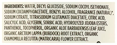 Image of 365 by Whole Foods Market, Hand Soap Foaming Anjou Pear Refill, 64 Fl Oz (Pack of 2)