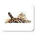 Produktbild AOHOT Mauspads Fluffy Scottish Fold Kitten Portrait Painting Pets on Watercolor Tabby British Short Hair Little Cute Cat Mouse pad Mats 9.5" x 7.9" for Notebooks,Desktop Computers Office Supplies