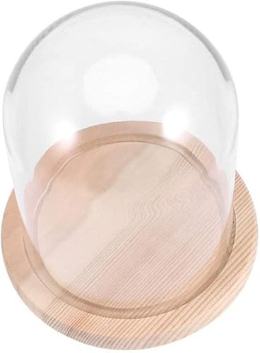 XinYiC Cúpula de cristal con base de madera, mini soporte para tartas, cúpula de cristal, cubierta de tarro de campana de vidrio transparente para postres, queso, plantas, suculentas, 9 x 12 cm Cover