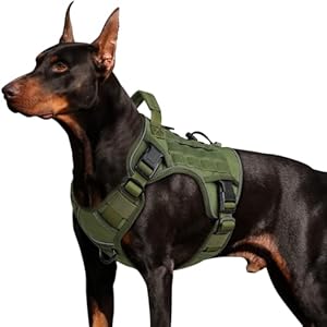 WINGOIN Tactical Dog Harness for Large Dogs, Heavy Duty No Pull Dog Harness with Handle, Adjustable Reflective Military K9 German Shepherd Big Size Dog Vest for Training, Walking, Hiking, Green (L) WINGOIN Tactical Dog Harness for Large Dogs Heavy Duty No Pull Dog Harness with Handle Adjustable Reflective Military K9 German Shepherd Big Size Dog Vest for Training Walking Hiking Green L