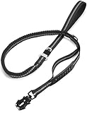 Heavy Duty Dog Leash, 4-6FT Shock Absorbing Dog Leashes with Traffic Handle and Comfortable Padded Handles, Advanced Easy Metal Clip, No Pull Reflective Leash for Medium Large Dogs That Pull (Black)