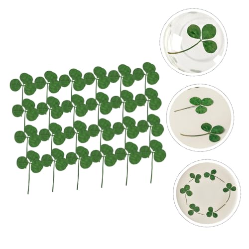 Hojas de trébol prensado secas verdes para manualidades 24 pcs miniatura 7