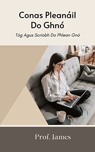 Conas Pleanáil Do Ghnó: Tóg Agus Scríobh Do Phlean Gnó (Irish Edition)