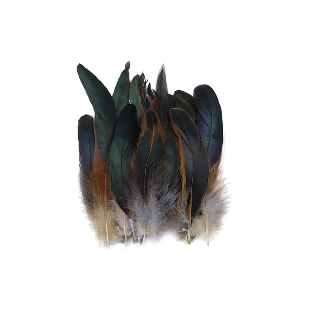 100 Plumes De Faisan Naturelles - 14-20 Cm, 15 Couleurs, Pour DIY, Déco, Costumes