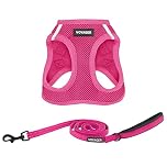 Voyager Step-in Air All Weather Mesh Harness and Reflective Dog 5 ft Leash Combo with Neoprene Handle, for Small, Medium and Large Breed Puppies by Best Pet Supplies - Leash Harness (Fuchsia), M