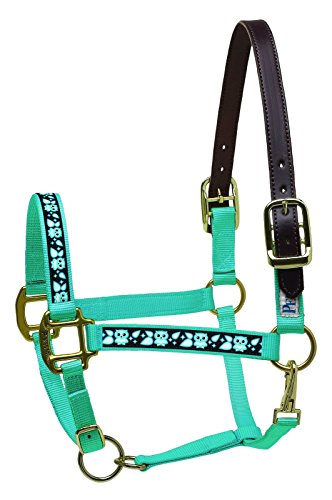 Perri's Leather Cob with Owls Nylon Ribbon Safety Halter, Turquoise