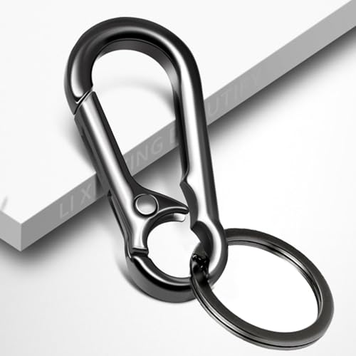 KMKANPO 4 Stück karabinerhaken klein,karabinerhaken schlüsselanhänger,schlüssel karabiner,Carabiner Schlüsselanhänger,Schlüsselring mit Karabiner,für Schlüssel, Rucksäcke und Charms,Autoschlüssel