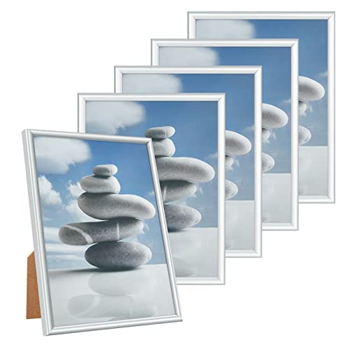 Alishomtll Juego de 5 marcos de fotos plateados, 15x20 cm, juego de marcos de plástico para varias fotos, color plateado