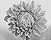 Next Beautiful Blossoms - Grayscale Coloring Book for Adults: Edition: Full pages (Double Set) (Simply Coloring by Lech)