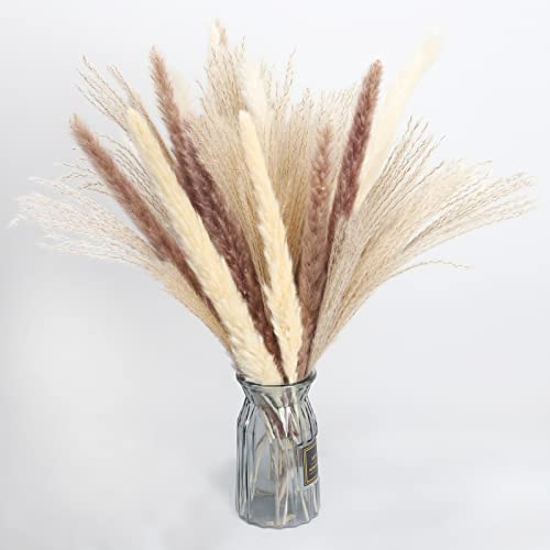 DWANCE Pampasgras Getrocknet Trockenblumen Getrocknet Blumen Pampas Gras Boho DekoTrockenblumenstrauß Pampasgras Deko für Tischdeko Wohnzimmer Büro Balkon Hochzeit deko Schlafzimmer Cover
