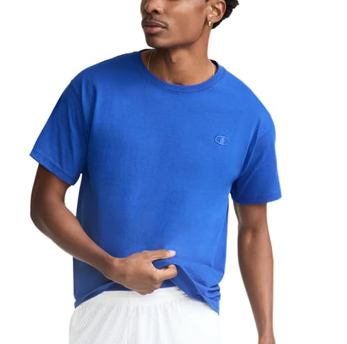 Champion mens Classic Jersey Tee Shirt, Surf the Web, Medium US