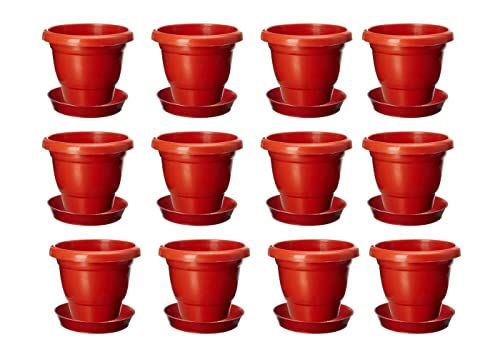 Amazon Brand - Umi Plastic Gamla/Planter/Pot with Bottom Plate/Tr...