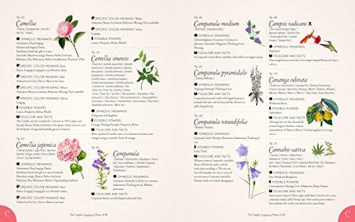 The Complete Language of Flowers: A Definitive and Illustrated History (Volume 3) (Complete Illustrated Encyclopedia, 3) - Image 5