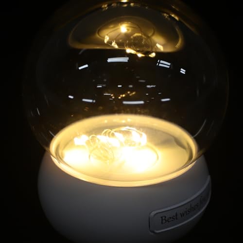 Cúpula de cristal transparente con base LED VALICLUD para flores 4