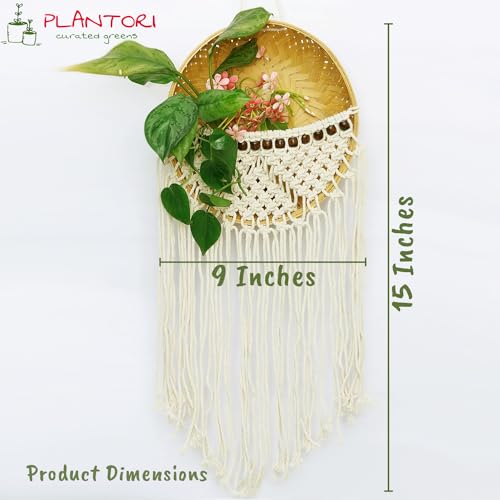 PLANTORI Set of 2 Hanging Planters for Living Room | Indoor Plant Pots and Planters for Home | Beautiful Flower Pots | Hanging Basket Diameter - 9 inches