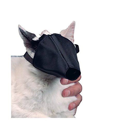 See full amazon price history chart for Kruuse Buster Nylon Cat Muzzle Kruuse Buster Nylon Cat Muzzle (B00VS8SGXG) Amazon Price History, Amazon Price Tracker