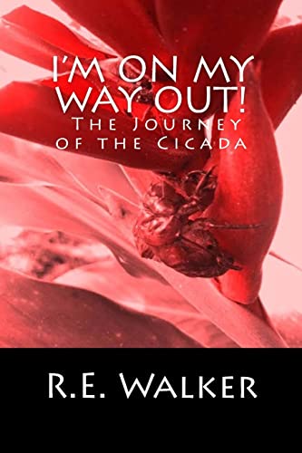 I'm On My Way Out! The Journey of the Cicada
