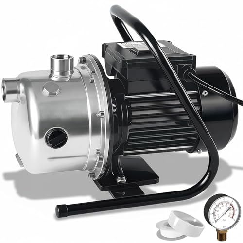 Lanchez 1.6 HP Shallow Well Pump Garden Pump