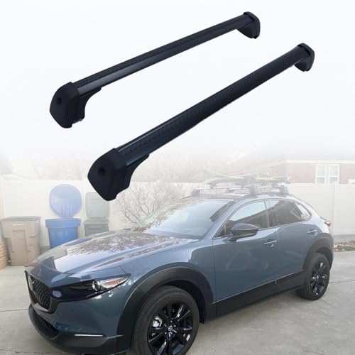 トゥインゴ専用純正ルーフバー 自転車 、スキー、スノーボード対応 トゥインゴ専用純正ルーフバー 自転車 、スキー、スノーボード対応