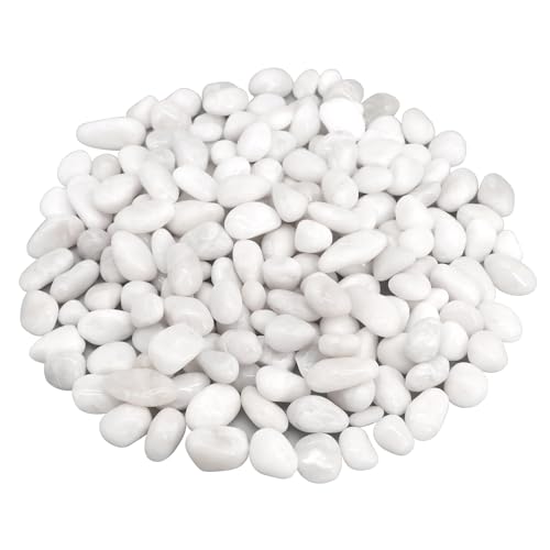 Image of Fish Tank Rocks,Landscaping Pebbles,Decorative Ornamental Pebbles Garden,Landscaping Stones Gravel Filler for Home Decoration Flower Bed Fish Tank Plants Vases Succulents (5 Pounds, White)