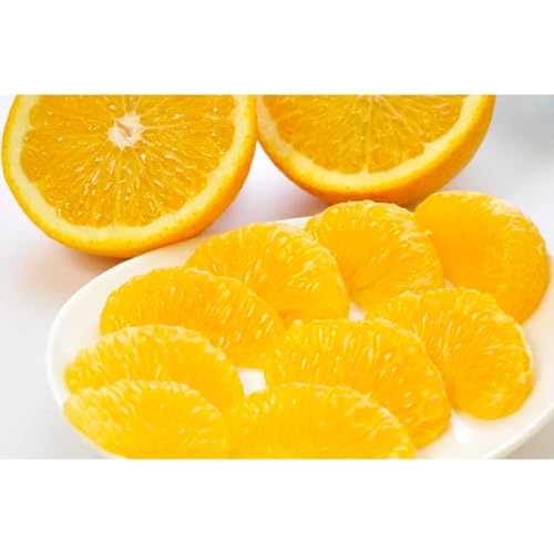 [先行予約]ご家庭用八朔(はっさく)約5kg(箱の重さ含む)