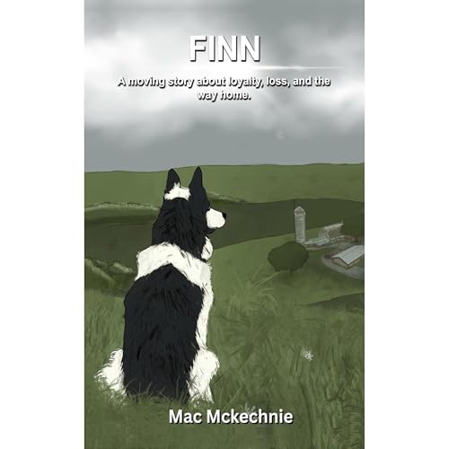 Finn Audiolibro Por Mac Mckechnie arte de portada