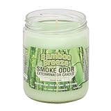 Smoke Odor Exterminator 13oz Jar Candle, Bamboo Breeze