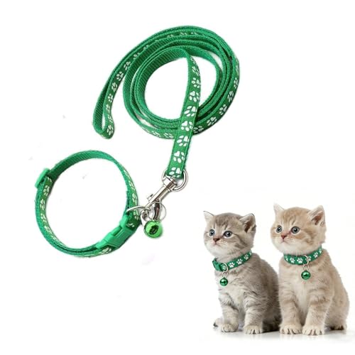 Collar y correa de perro pequeño gato ajustable verde oscuro nailon 2