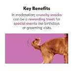 Wiggles & Wags Neapolitan Dog Cookies, Strawberry, Vanilla & Carob Flavors, 14 oz with DN Essentials Bone Shaped Waste Bag Dispenser & Roll - Image 5