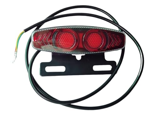 Phare moto feu arrière clignotant dynamique de stop 36V 48V pour trajets urbains quotidiens
