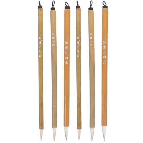 Abaodam 6 M ʗp|M wߗK Mׂ pr`IѕM KGɓKSҗpuV