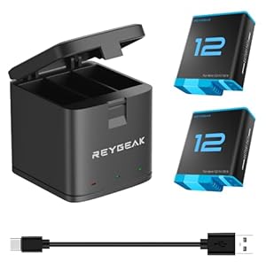 REYGEAK Hero 12/Hero 11 Akku Hero 10/9 Akku und 3-Kanal LED Ladegerät ，Akkus für GoPro Hero 12/11/10/9 Black，ladegerät für Hero 12/11/10/9 Black (Ladegerät + 2 Akkus)