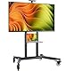 ONKRON TV Ständer rollbar für 55-90 Zoll Fernseher, max Last bis 90 kg, professioneller Wagen TV Standfuss höhenverstellbar, max VESA 800x600 mobiler Fernsehständer mit Rollen Schwarz TS1871-B
