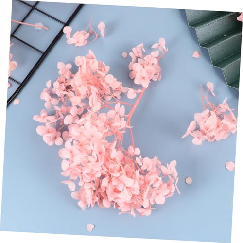Cabilock 1Pack Pétalos de Hortensia Preservados para Manualidades miniatura 6