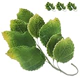 Global Sugar Art Rose Leaf Sugar Cake Flowers Spray, Green with Yellow, 3 Count by Chef Alan Tetreault