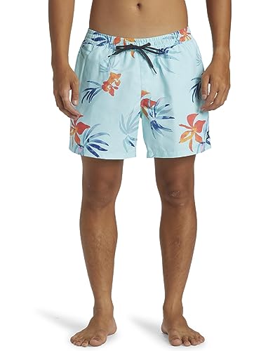 Quiksilver Everyday Mix Volley 15' - Schwimmshorts für Männer Blau