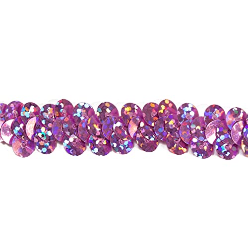 Trims by the Yard 1-Row Starlight Hologram Sequin Stretch Trim, 3/8-Inch Versatile Sequins for Crafts, Durable Sequin Trim for Costumes, Fashion, and Home Decor, 20-Yard Cut, Pink