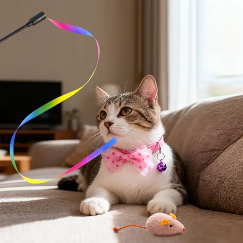 Kitten Starter Kit para gatitos en interior, incluye arenero rosa miniatura 6