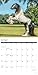 Gypsy Vanner Horse 2026 Wall Calendar