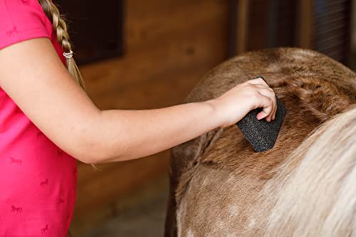 Farnam Slick 'N Easy Horse Grooming Block | Removes loose Hair, Dust, and Dirt,Leaves horse's coat slicker, shinier in minutes,Grooms up to 12 horses - Image 6