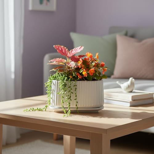 Image of Xtore Elegant Ribbed Oval Planter Pot with Drain Tray for Indoor & Outdoor Plants | Minimal Modern Flower Pot (White, 23.5 cm) (Planter only)