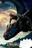 How To Train Your Dragon - Movie Poster (Toothless & Hiccup) (Size: 24' x 36') (Unframed Poster & Strips)