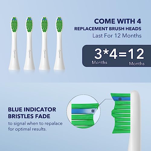 Image of Arisson Sonic Electric Toothbrush for Adults and Kids with 4 Brush Heads, Type C Fast Charging, 40,000 VPM, 3 Mode with 2 Minutes Smart Timer, 1.6 Oz-White on Cotton Candy