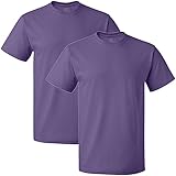 Fruit of the Loom Men's Crew T-Shirt (2 Pack), Purple, Large
